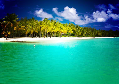 Photography Beach Earth Oc