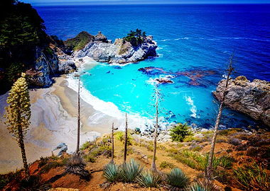 Earth Beach Nature Ocean C
