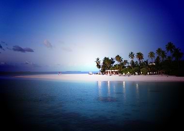 Photography Beach Ocean Tr