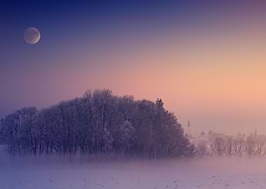 Photo Of Trees During Dawn