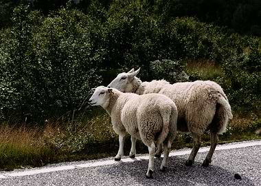 From the street of Norway