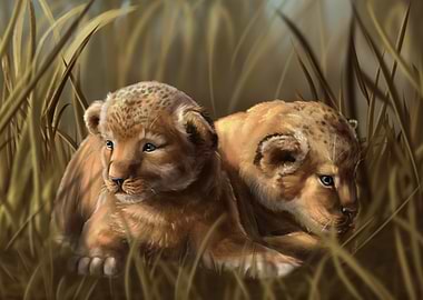 Lion cubs hiding in grass