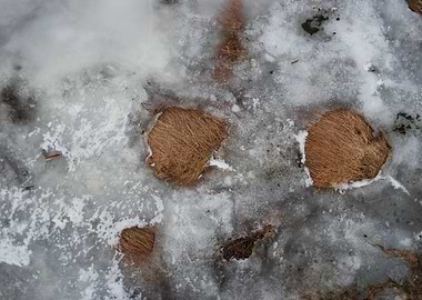 Frozen lake with grass