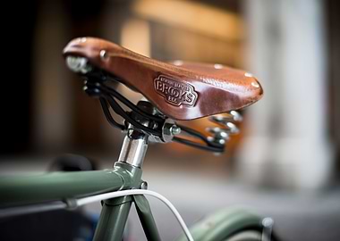 Brooks Genuine Leather