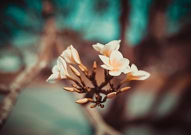 Abstract Colors of My Mind