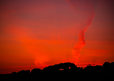 Red sky with trees