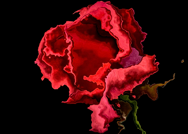 Red Rose Looks Painted