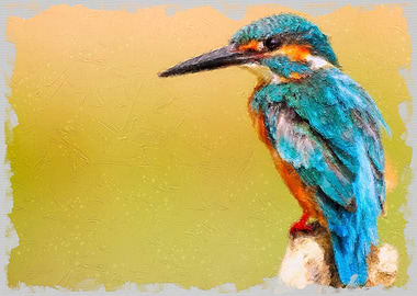 Kingfisher