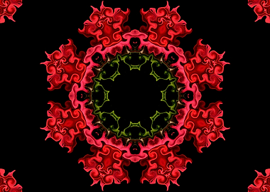 Distinctive Rose Petals