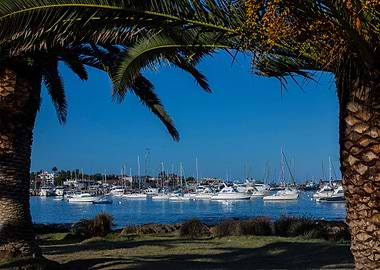 Puerto De Punta del Leste