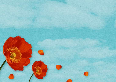 Red Poppies Blue Sky