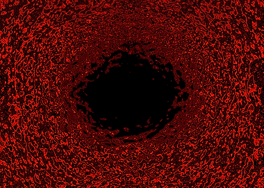 Wormhole Arrival Point