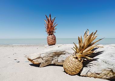 Pineapples at the Beach