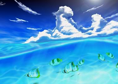 Animal Fish Fishes Sea Clo