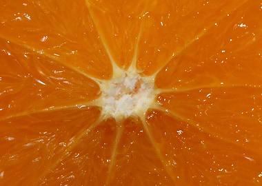 Orange fruit macro prints