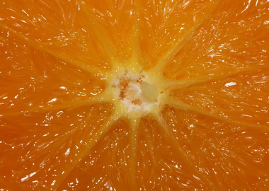Orange fruit macro prints