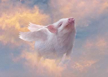 Piggy Heaven