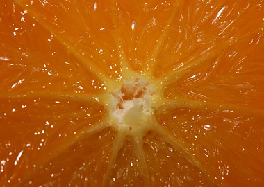 Orange fruit macro prints