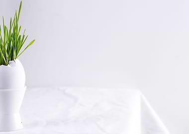 green grass in eggshell