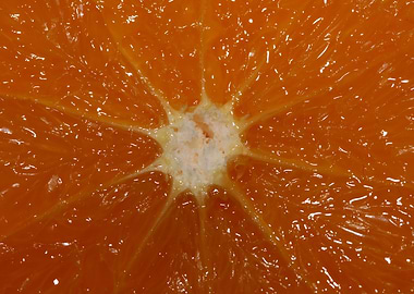 Orange fruit macro prints