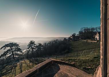Fog View Unstrut Valley