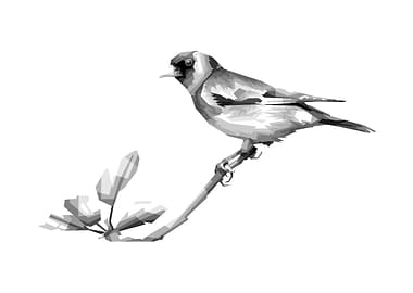 bird grayscale awesome