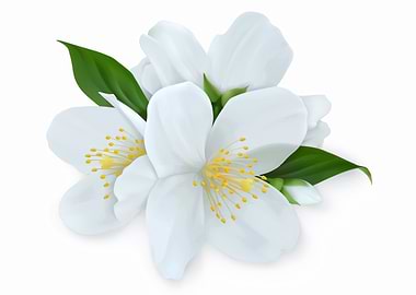 white flower