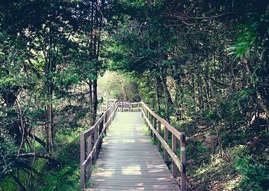 Drakensberg South Africa