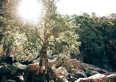 Drakensberg South Africa