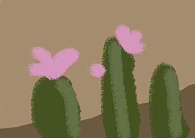 Cactus flowers