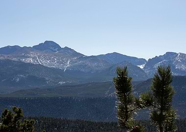 Rocky Mountain Collective