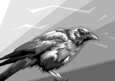 Eagle Grayscale