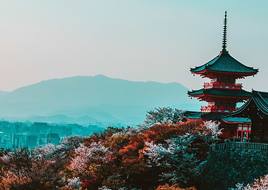 Japan temple photograpy
