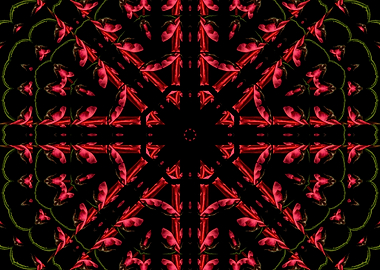 Red Octagon Star Mandala