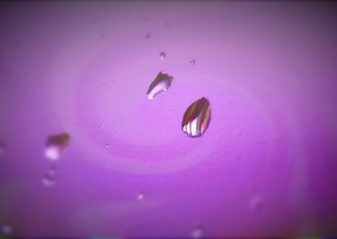 Drops in my Window 001