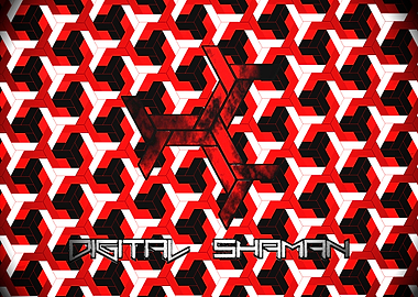 Digital Shaman Logo 4