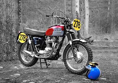 The McQueen ISDT 1964