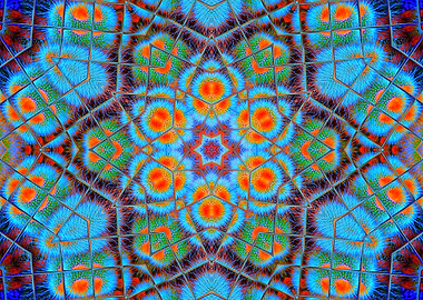 The Spiny Cactus Hexagram