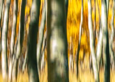Aspen Abstract 2