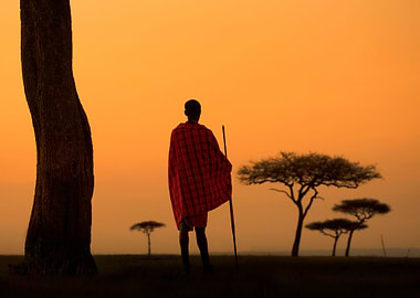 Maasai Warrior