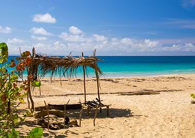 Tropical Sandy Beach