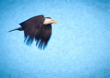 Eagle in Flight