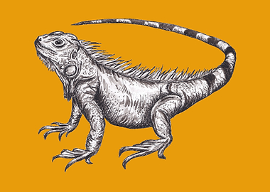 Iguana