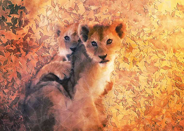 Lion Cubs
