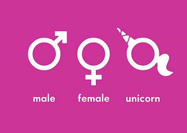 Male Female Unicorn
