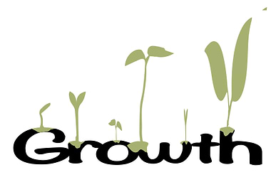 Growth