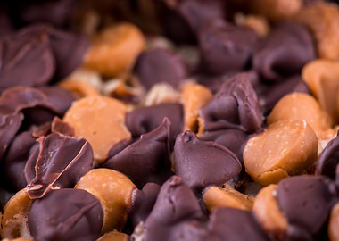 Chocolate and Butterscotch