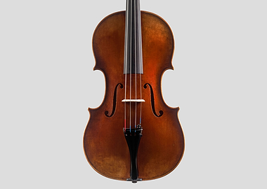 The Viola