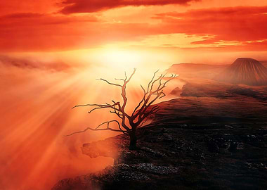 Dead tree at the edge