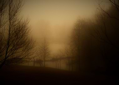 Misty Morning